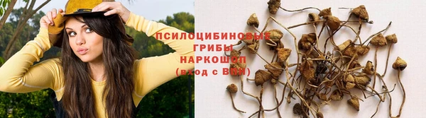 дурь Аркадак