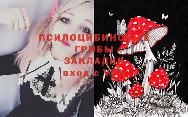 таблы Арсеньев